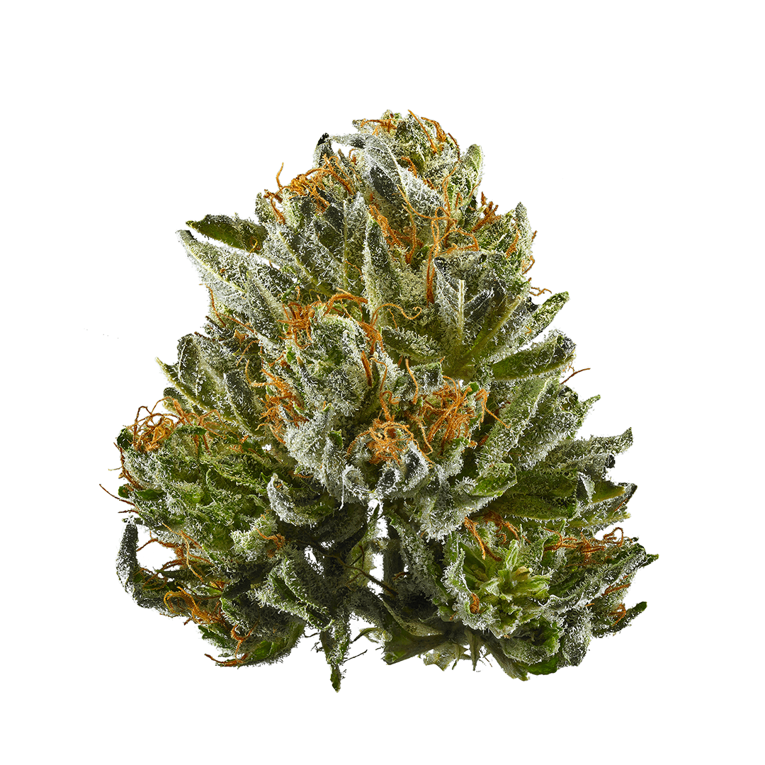 Bubba Kush aka BK, Bubba, Bubba OG Kush Weed Strain Information
