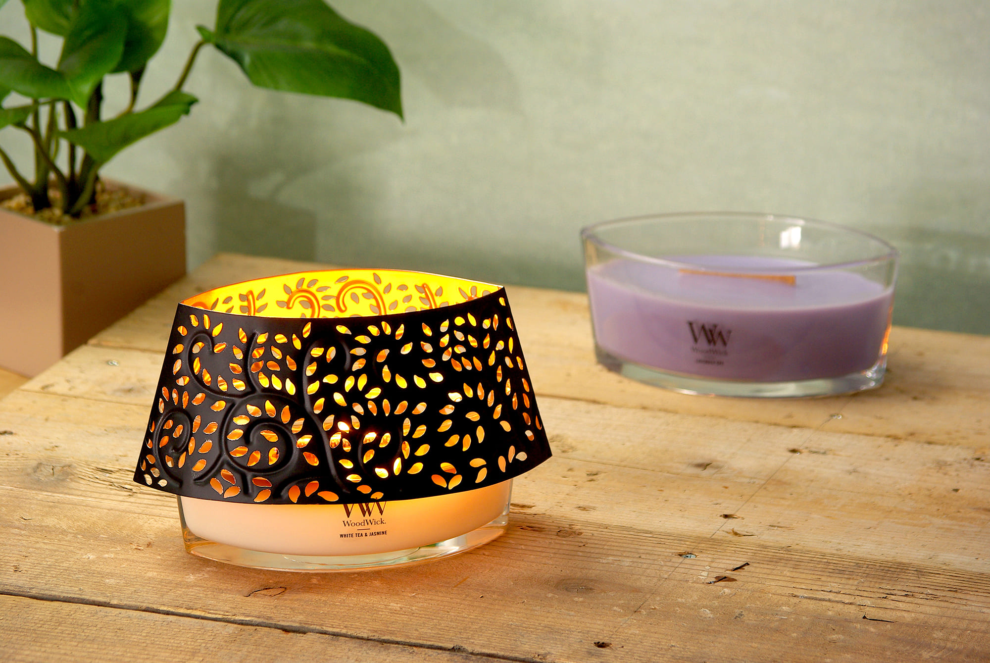 WoodWick（ウッドウィック）の商品一覧｜【タンプ公式通販】