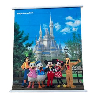 Disney - ディズニー ロマンティックサンセットの通販 by まつ's shop