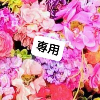 クレ・ド・ポー ボーテ - 【限定】新品未使用 クレ・ド・ポーボーテ