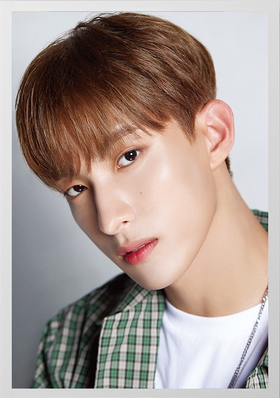 DICON D'FESTA SEVENTEEN DK version《全額内金》 : SEVENTEEN