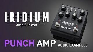 STRYMON ( ストライモン ) IRIDIUM 送料無料 | サウンドハウス