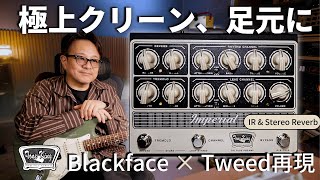 TONEKING ( トーンキング ) Imperial Preamp 送料無料 | サウンドハウス