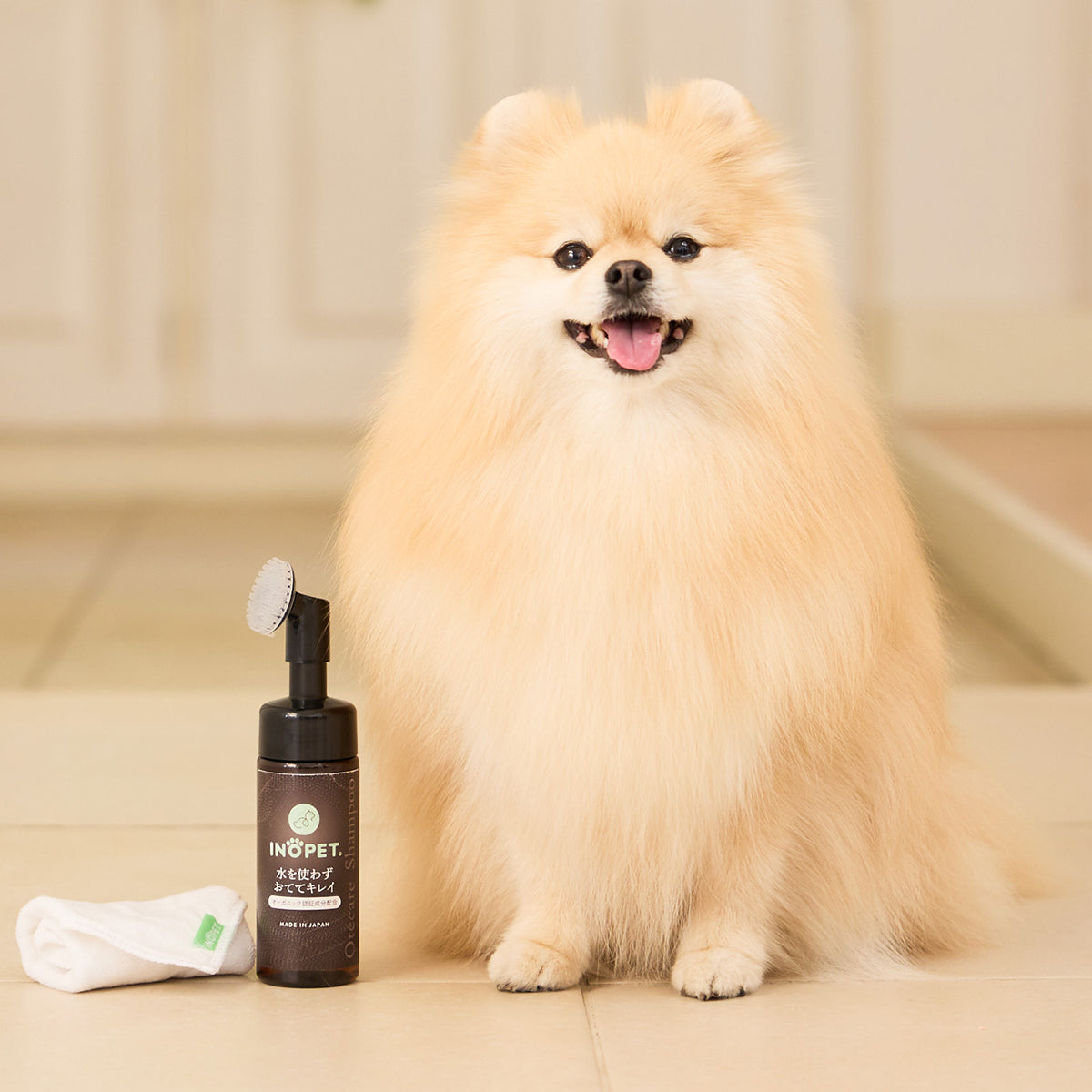 2種のシャンプーセット Organic Shampoo ＆ Otecare Shampoo – 【公式