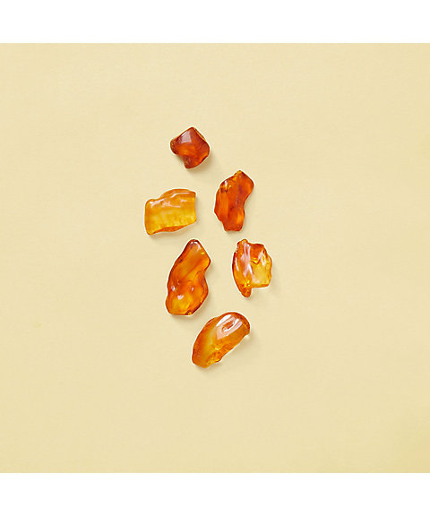 GUCCI beauty（GUCCI beauty） グッチ ジ アイズ オブ ザ タイガー