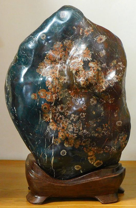 緋山酔恭「山水石美術館」 全国の水石・美石を紹介 菊花石 Ⅰ