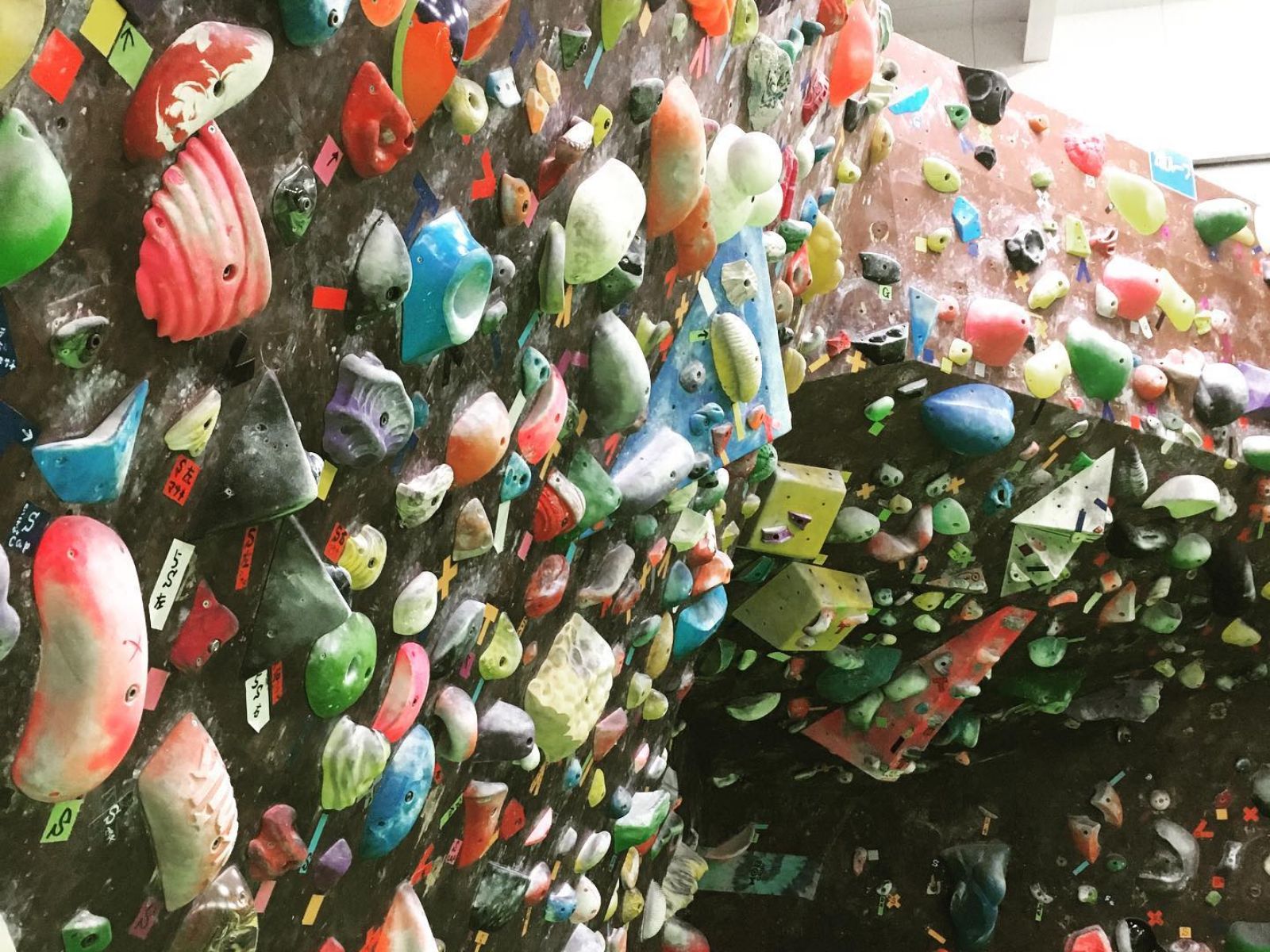 公式】豊川・豊橋のボルダリングジム ｜ Sunny Space 岩んちゅ