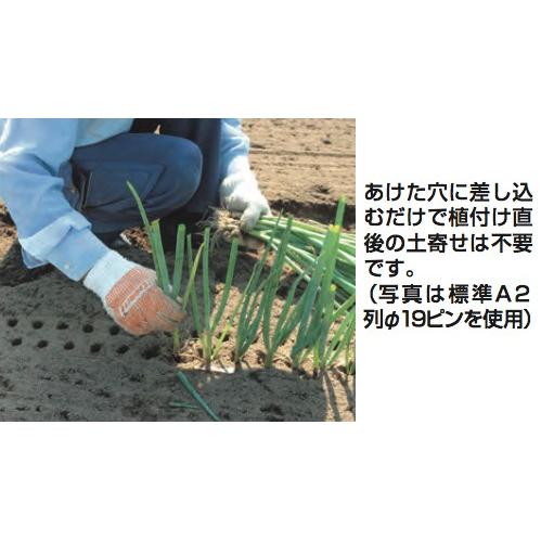 ハラックス HARAX ネギロケット N-130S-19 (20本) / N-140S-22 (13本