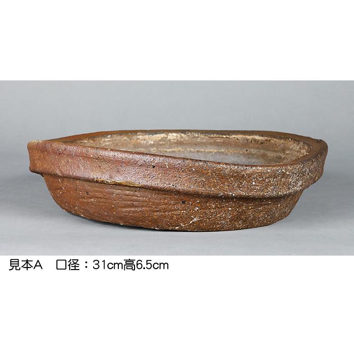 盆栽鉢 山野草鉢 「本南蛮丸鉢（中）」 寄せ植え 文人盆栽 草物に最適