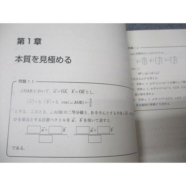 東進 数学の真髄 東大実践演習編 図形問題(理系) 書き込みなし 青木