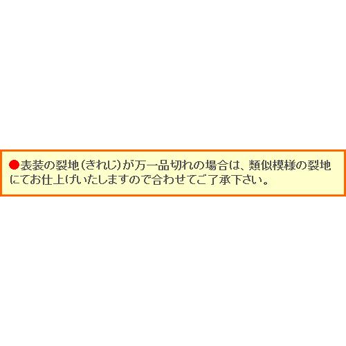 掛け軸 達磨 (桐山六郎) 【掛軸】【一間床・半間床】【趣味】 : 掛け軸