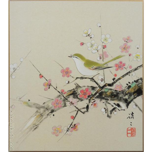 高級色紙「梅に鶯」浩二（色紙絵） : 掛け軸・絵画の専門店 掛軸堂画廊