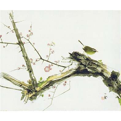 竹内栖鳳 掛け軸 梅に鶯 【掛軸】【一間床・半間床】【丈の短い掛軸