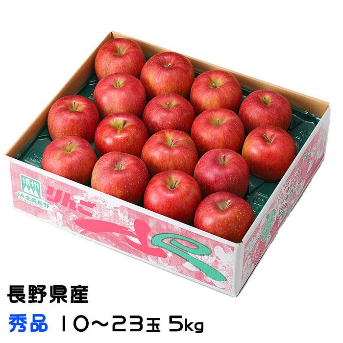 りんご サンふじ 秀品 10〜23玉 5kg 長野県産 信州高山さわやかりんご