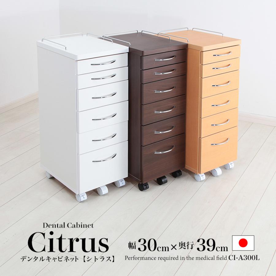 デンタルキャビネット シトラス 幅30cmタイプ 完成品 クリニック 病院