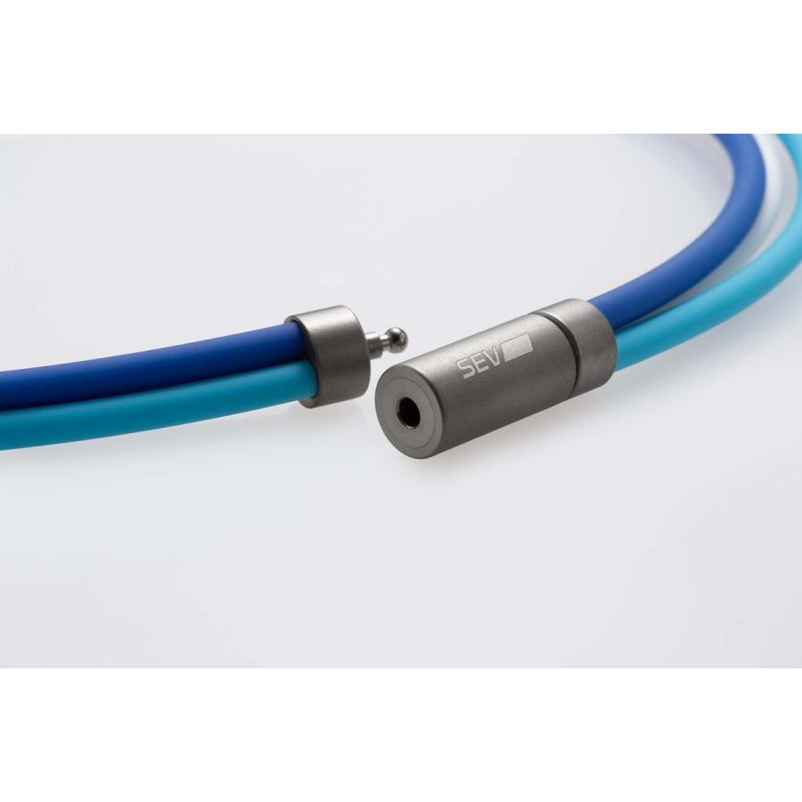 SEV（セブ） ルーパータイプ3Ti / SEV Looper type3Ti☆送料無料