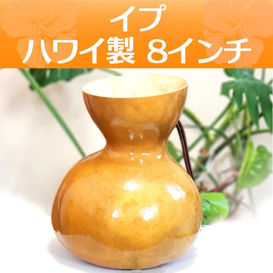 ハワイアン フラダンス 楽器 イプ ヘケ オレ 8インチタイプ (Mサイズ