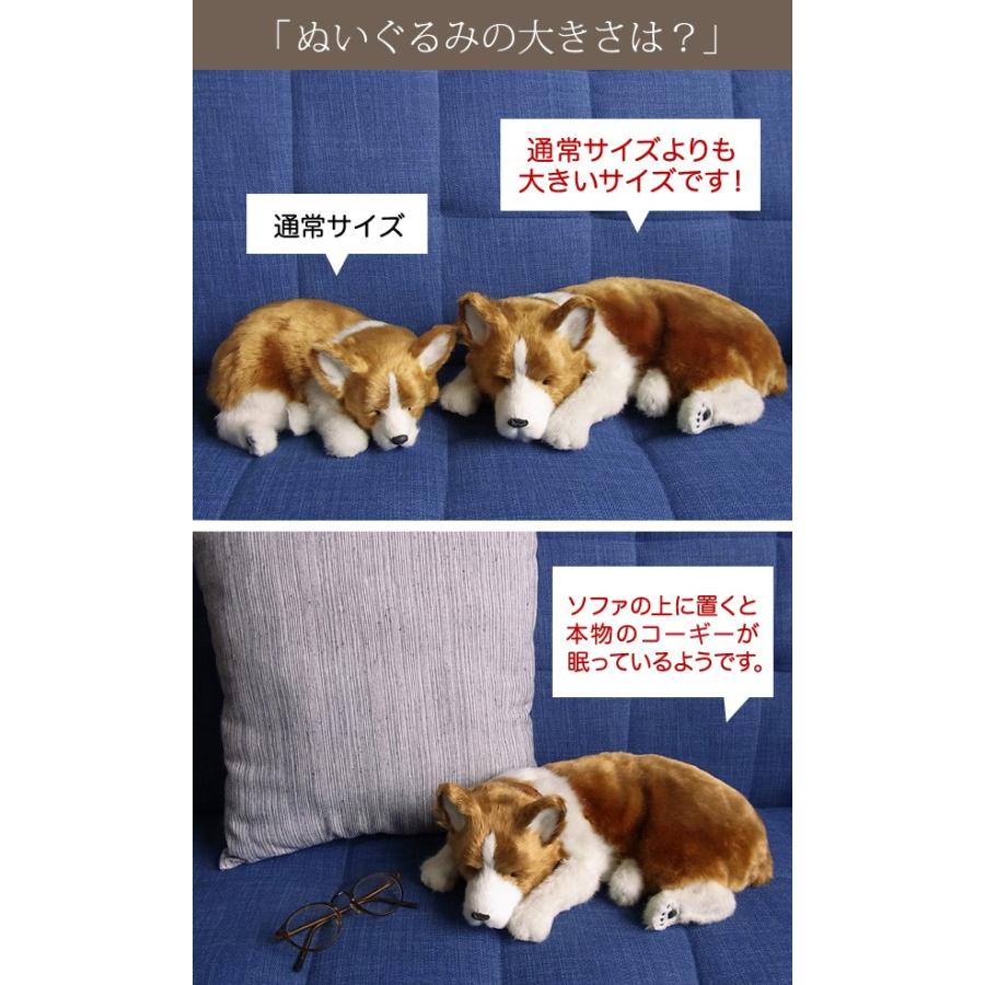 ニニアンドキノ パーフェクトペット (大サイズ) コーギー ぬいぐるみ