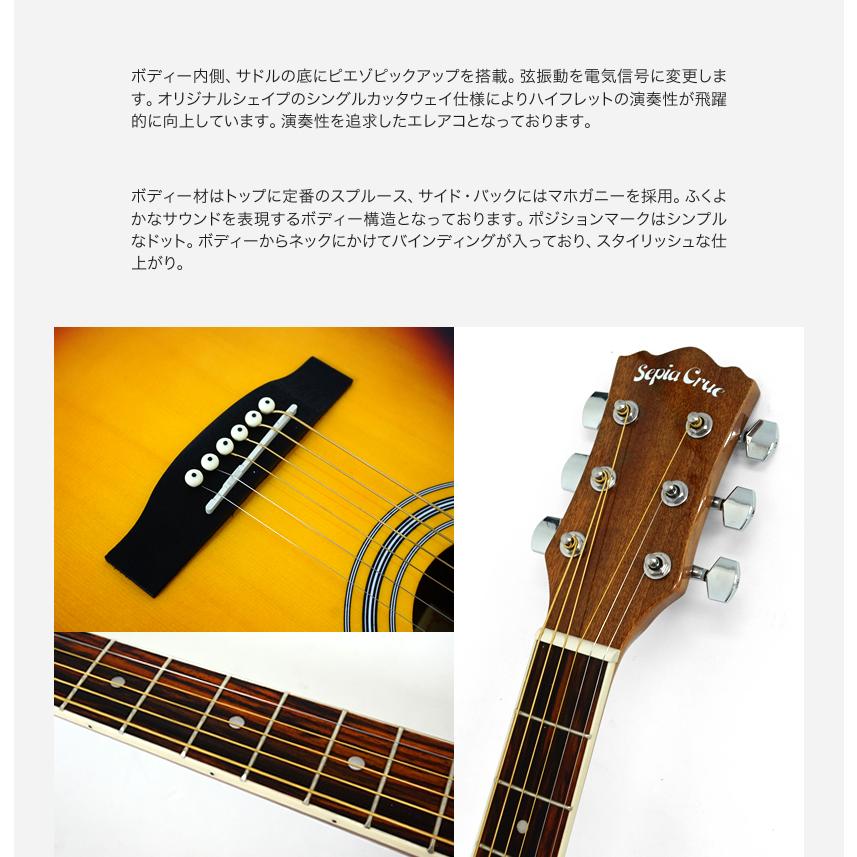 エレアコ Sepia Crue EAW-01 単品〔ソフトケース、シールドケーブル