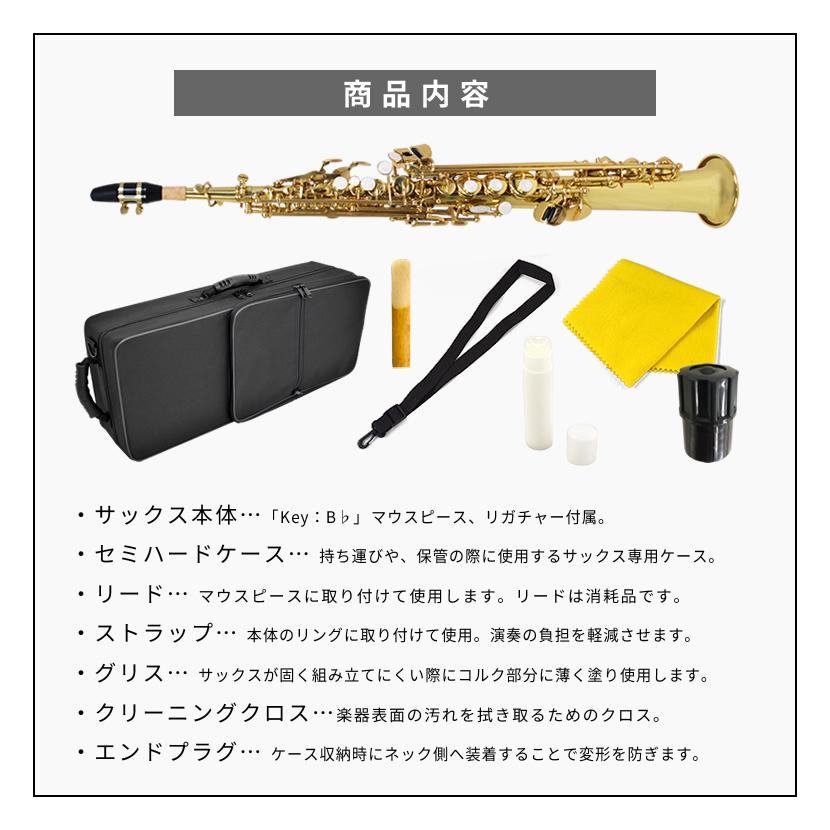 Soleil ソプラノサックス SSP-1 単品〔セミハードケース、その他付属品