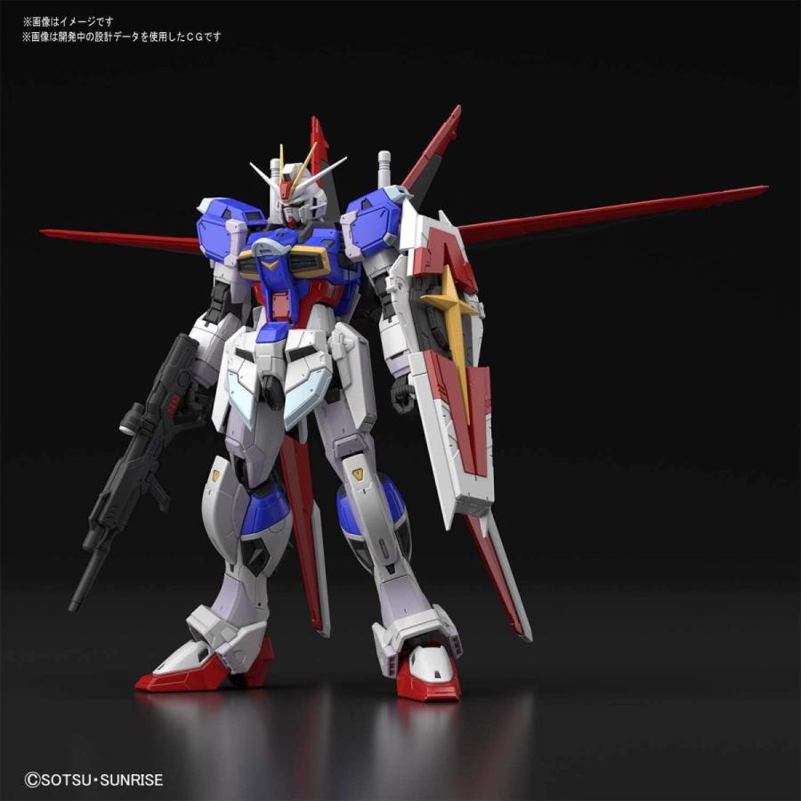 BANDAI（バンダイ） 【新品】1週間以内発送 RG 機動戦士ガンダムSEED