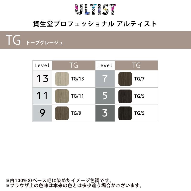 SHISEIDO PROFESSIONAL（資生堂プロフェッショナル） 資生堂