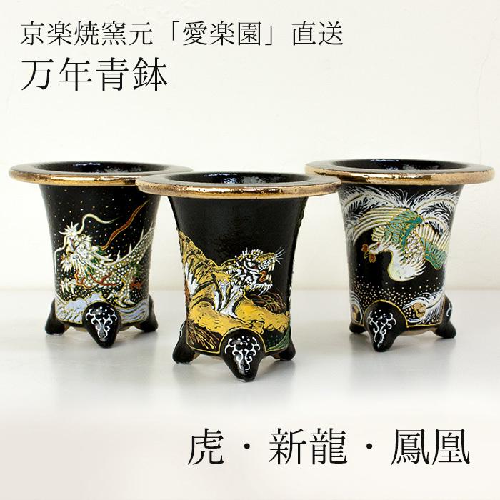 ◇京楽焼窯元「愛楽園」直送◇『万年青鉢（おもと鉢） 虎・新龍・鳳凰