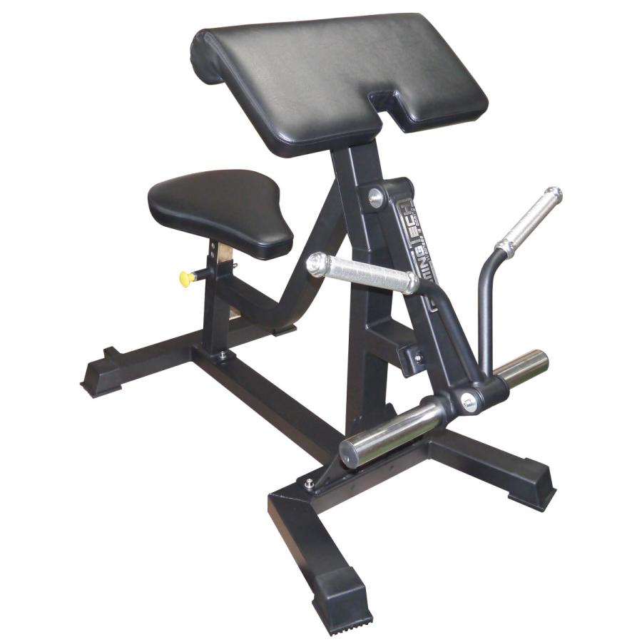 WILD FIT（ワイルドフィット） [即納OK] バイセプスカール [アーム