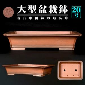 盆栽鉢 紫泥外縁下紐長方鉢 植木鉢 中国鉢 支那鉢 12号 37cm 松柏盆栽