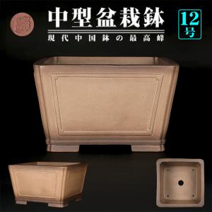 盆栽鉢 紫泥外縁胴紐楕円鉢 植木鉢 中国鉢 張氏製陶 落款あり 15号