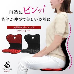 Style（スタイル） 姿勢 サポートチェア MTG スタイルスマート Style