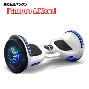 電動スクーター プロテクター付 立ち乗り二輪車 電動バランス