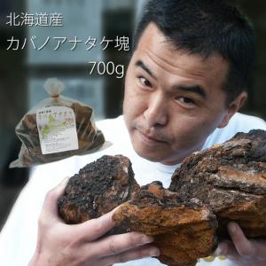 業務用 カバノアナタケ茶塊(原体)2.1kg(700g×3袋セット)北海道産