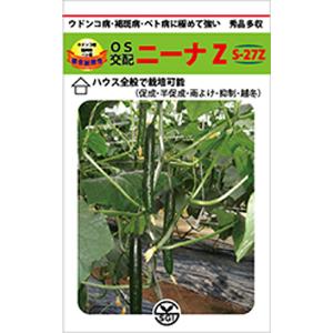 SK9-099 ブロッコリー種子 ペレット5000粒 【野菜種子】【サカタのタネ