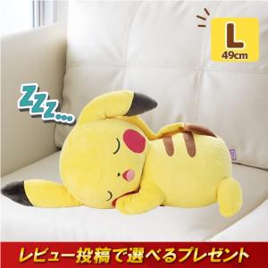 Pokemon（ポケモン） ポケモンセンターオリジナル ふわふわ抱き