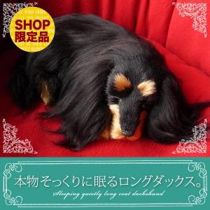 ニニアンドキノ パーフェクトペット (小サイズ) コリー シェルティ