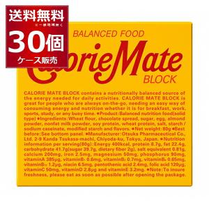 カロリーメイト 大塚製薬 カロリーメイト ブロック チョコ味 4本入り