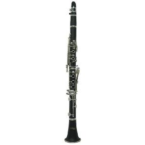 nuvo プラスチック製クラリネット クラリネオ Ver2.0〔Clarineo ヌーボ