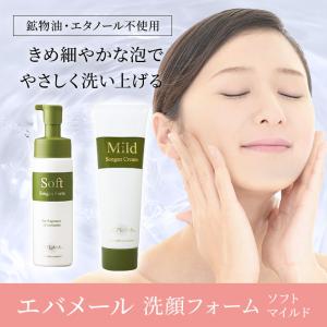 エバメール 正規品 オールインワンゲルクリーム ポンプ500g(S)と詰