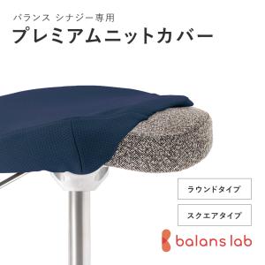 バランスラボ バランスチェア バランスチェアー バランスイージー