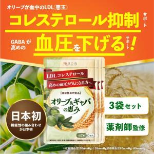 リマドス エイジングリッチ303 60粒 : OSK store - 通販 - Yahoo