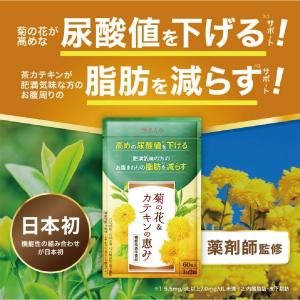 メソフォースクリーム (業務用) 650g : cosme通販 - 通販 - Yahoo