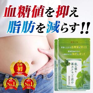 フロルフロラ FLOR FURORA 30粒 ダイエット サプリメント : GANTS FOOD