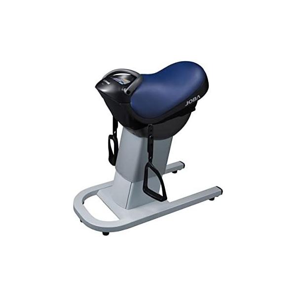 ○中古 ナショナル(National) 乗馬フィットネス機器 ジョーバ 青