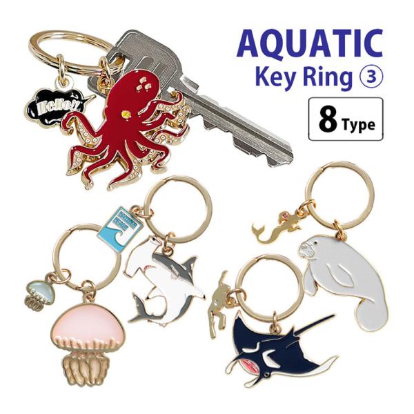 monomode_20w-zaq3-key