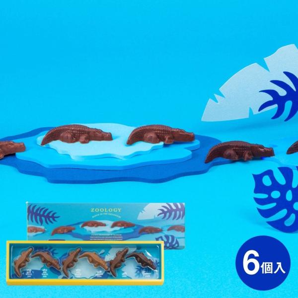 ホワイトデー お返し ギフト チョコ ZOOLOGY お菓子 プレゼント コワニ