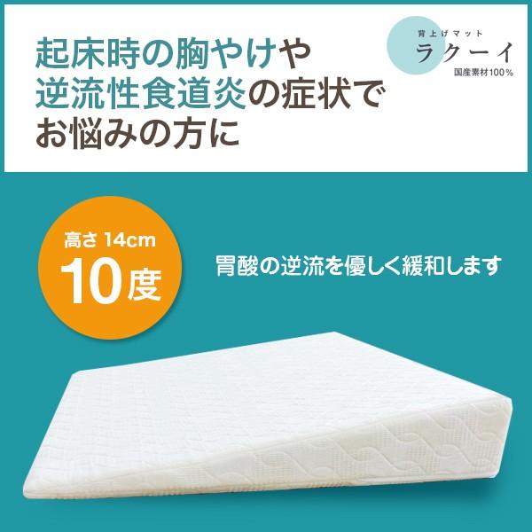 ラクーイ10度背上げマット[逆流性食道炎・胃全摘術後などに] 安心の