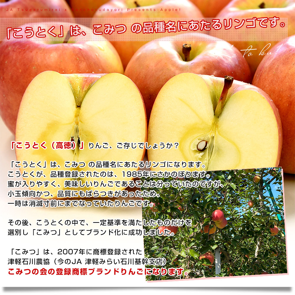 青森産 JA津軽みらい こうとく（高徳） 2.5キロ前後 （12玉から13玉