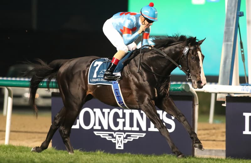 イクイノックス｜名馬メモリアル｜競馬情報ならJRA-VAN