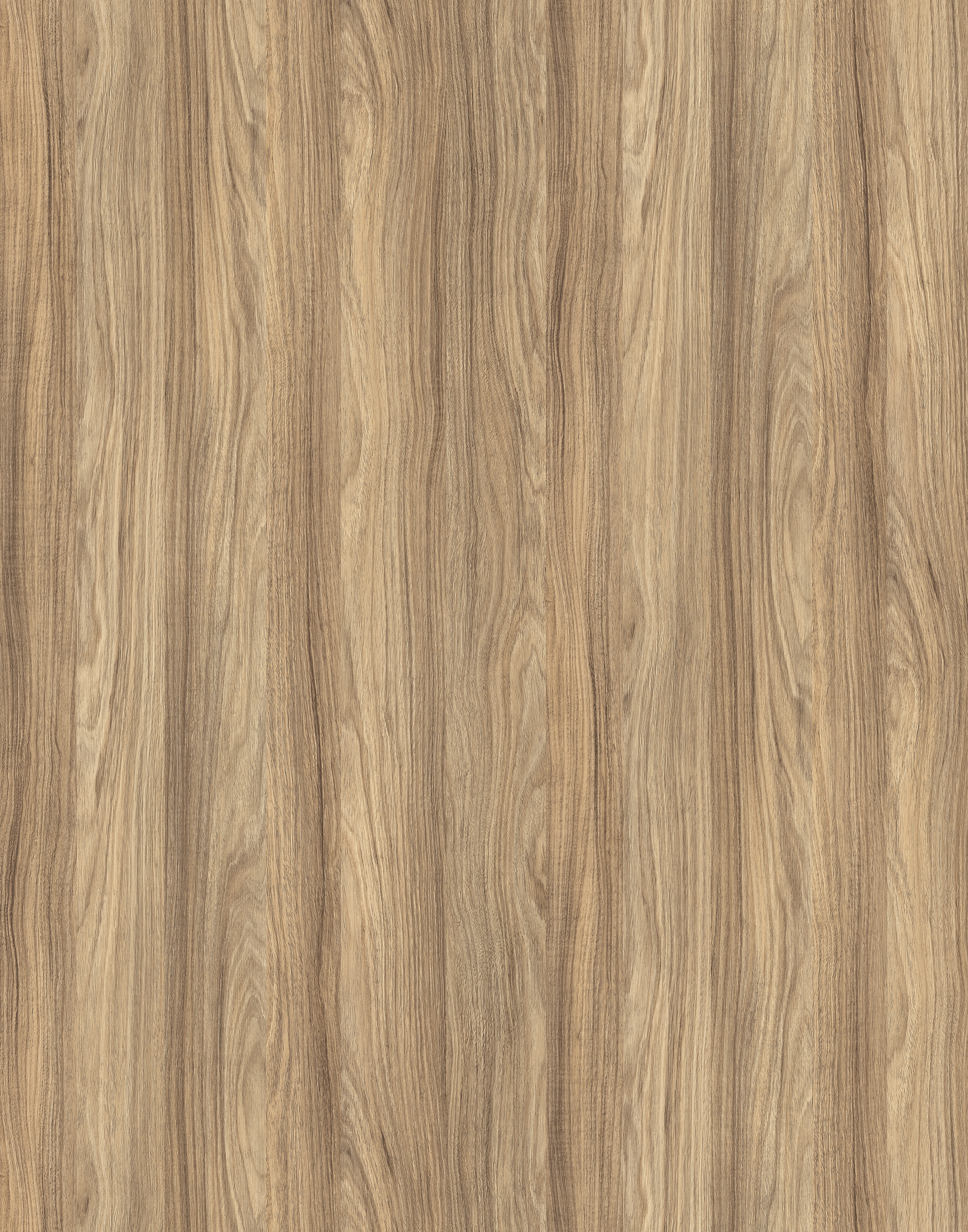 K021 Barley Blackwood (mostră de PAL melaminat) | KS01_46607_BU